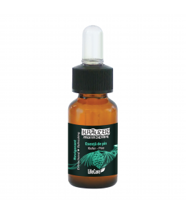 Ulei esential de Pin, natural, Life Care® Ulei esential de Pin, natural, Life Care®