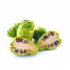 Life Impulse® Pure Noni ECO