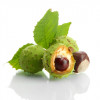 Crema incalzitoare de picioare, cu plante BIO, Life Care®