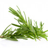 Crema incalzitoare de picioare, cu plante BIO, Life Care®
