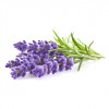 Detergent lichid cu nuci de sapun si lavanda - BioHAUS®