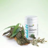 ActiveSalicin, cu extract din scoarta de salcie alba, Life Care®