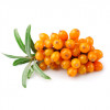 Life Impulse® ECO Mix Graviola