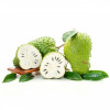 Life Impulse® ECO Mix Graviola