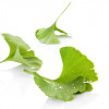 Life Impulse® Menopause