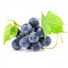 Life Impulse® Resveratrol Plus