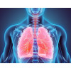 Smokers Aid Detox, cu radacina de arctium si anghinare BIO, Life Care®