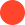 Corai Corai