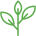 Peste 300 de produse Bio, Naturale si Vegane Peste 300 de produse Bio, Naturale si Vegane